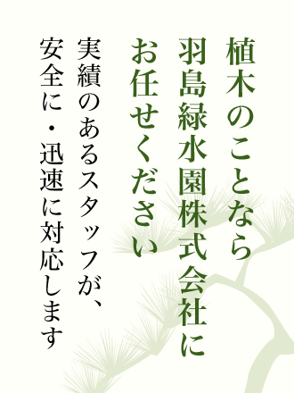 植木のことなら羽島緑水園株式会社にお任せください　実績のあるスタッフが、安全に・迅速に対応します